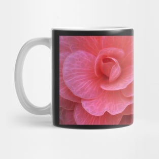 frilly dark and light pink begonia plant in closeup glowing to show petal veins Mug